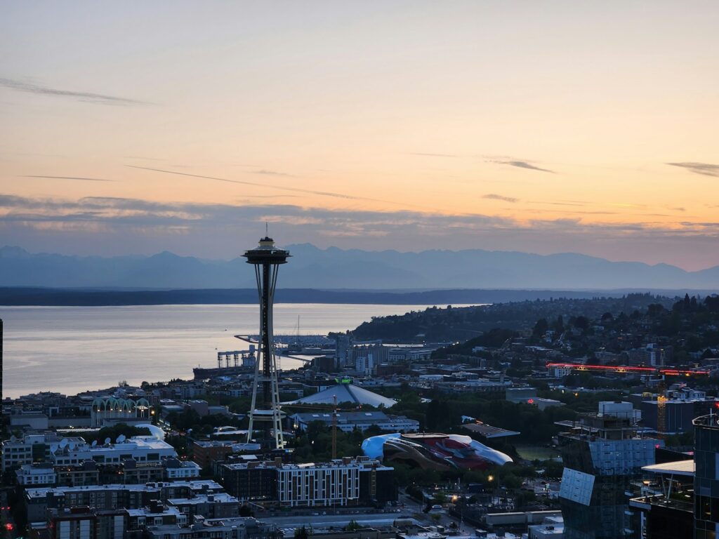 a city with a body of water and a tower